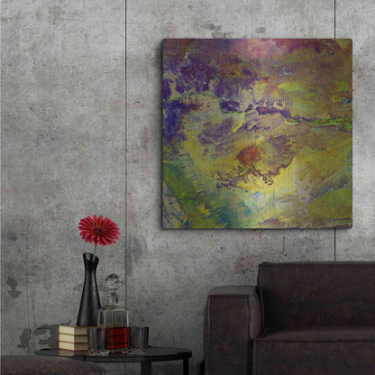 Luxe Metal Art 'Earth as Art: Sabotage,' Metal Wall Art,36x36