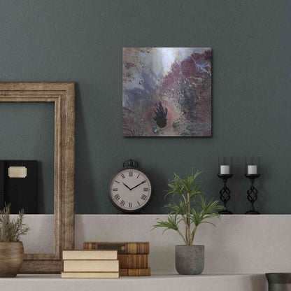 Luxe Metal Art 'Earth as Art: The Watcher,' Metal Wall Art,12x12