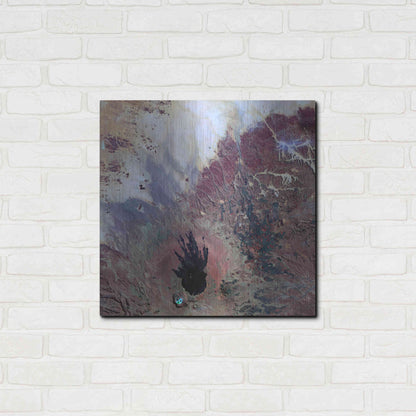 Luxe Metal Art 'Earth as Art: The Watcher,' Metal Wall Art,24x24