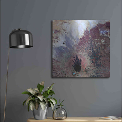 Luxe Metal Art 'Earth as Art: The Watcher,' Metal Wall Art,24x24