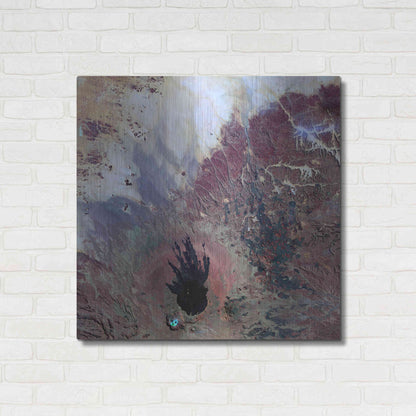 Luxe Metal Art 'Earth as Art: The Watcher,' Metal Wall Art,36x36