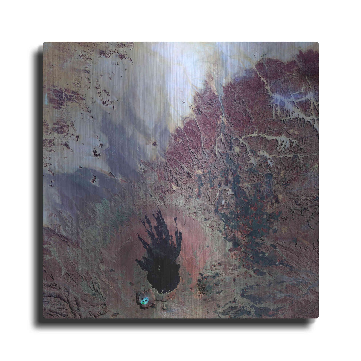 Luxe Metal Art 'Earth as Art: The Watcher,' Metal Wall Art