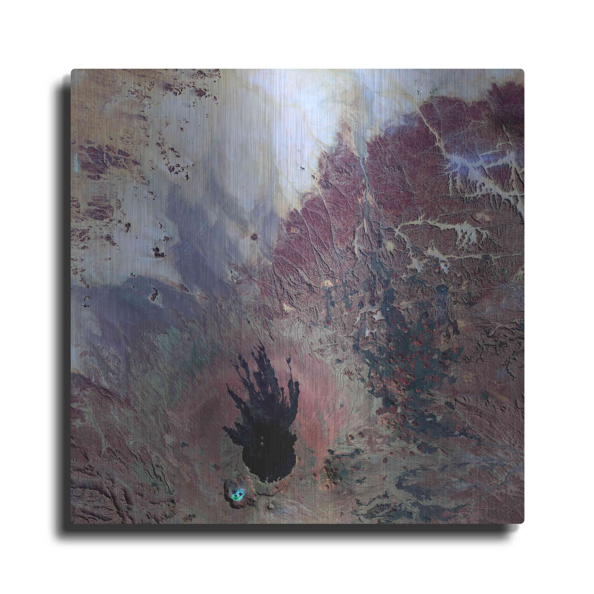 Luxe Metal Art 'Earth as Art: The Watcher,' Metal Wall Art