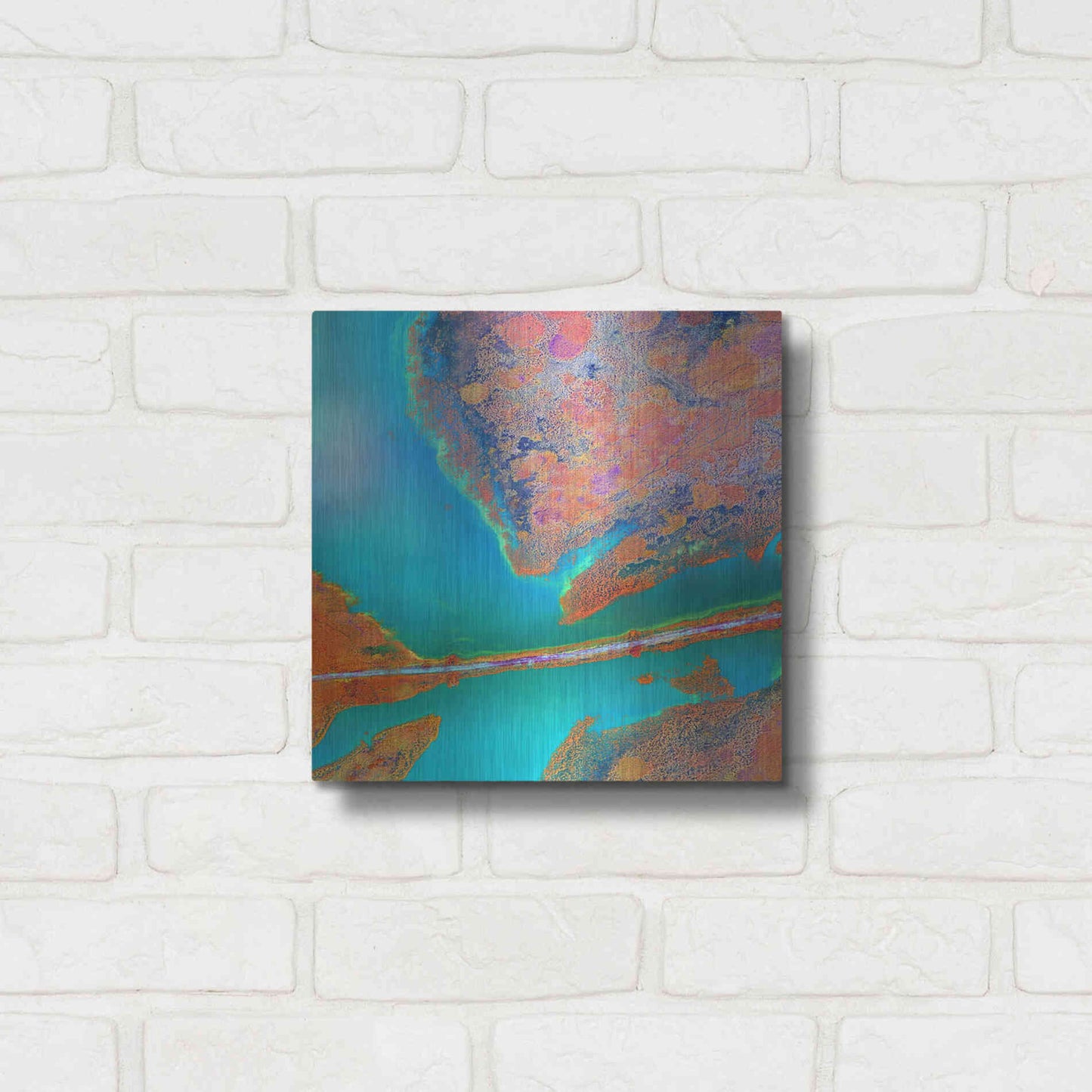 Luxe Metal Art 'Earth as Art: A Study in Algae,' Metal Wall Art,12x12