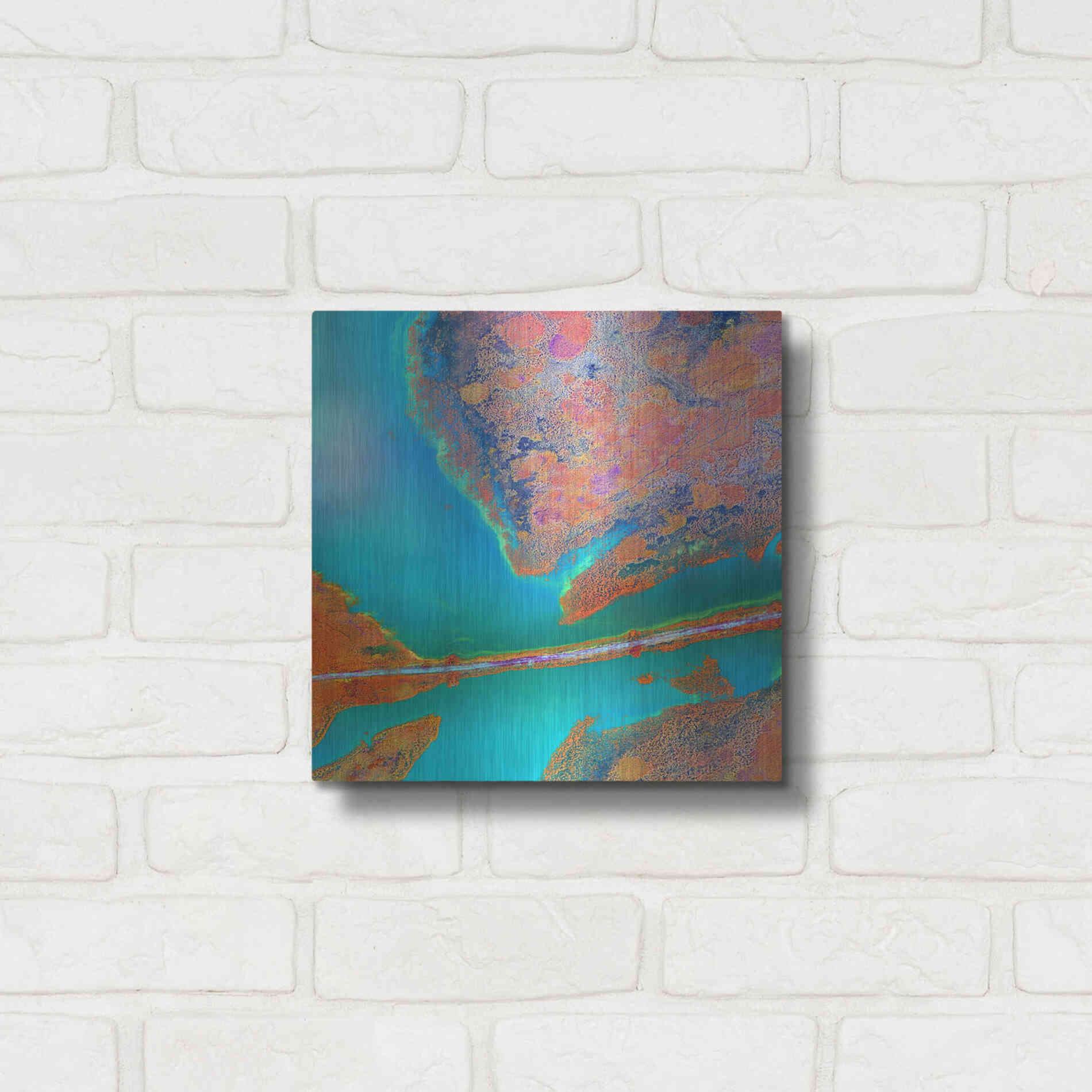 Luxe Metal Art 'Earth as Art: A Study in Algae,' Metal Wall Art,12x12