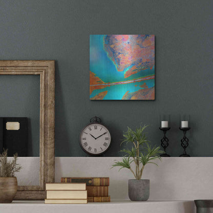 Luxe Metal Art 'Earth as Art: A Study in Algae,' Metal Wall Art,12x12