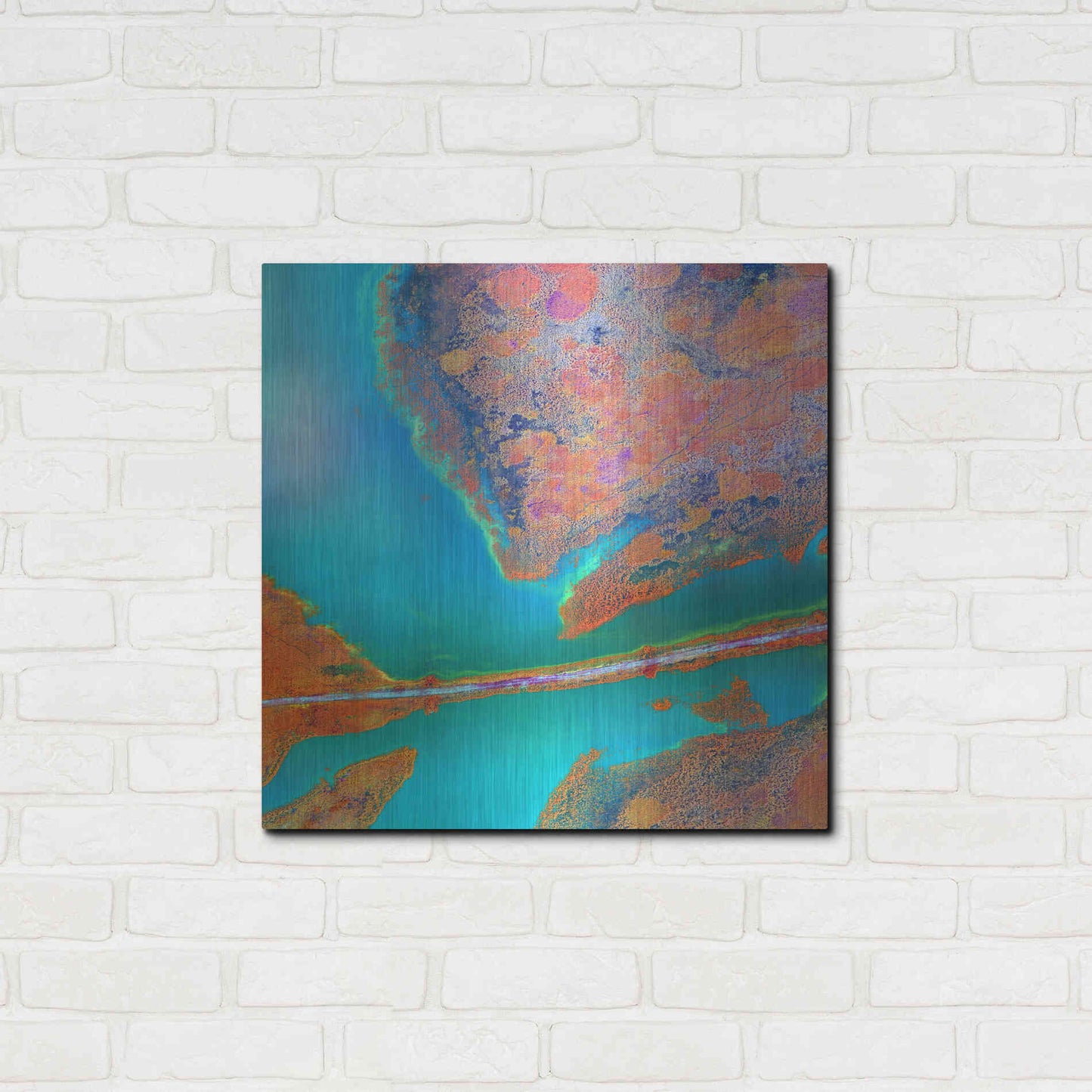 Luxe Metal Art 'Earth as Art: A Study in Algae,' Metal Wall Art,24x24