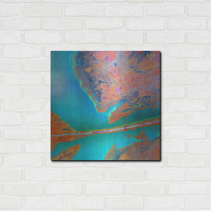 Luxe Metal Art 'Earth as Art: A Study in Algae,' Metal Wall Art,24x24