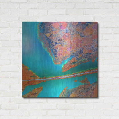 Luxe Metal Art 'Earth as Art: A Study in Algae,' Metal Wall Art,36x36