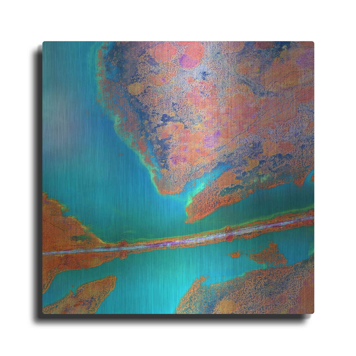 Luxe Metal Art 'Earth as Art: A Study in Algae,' Metal Wall Art