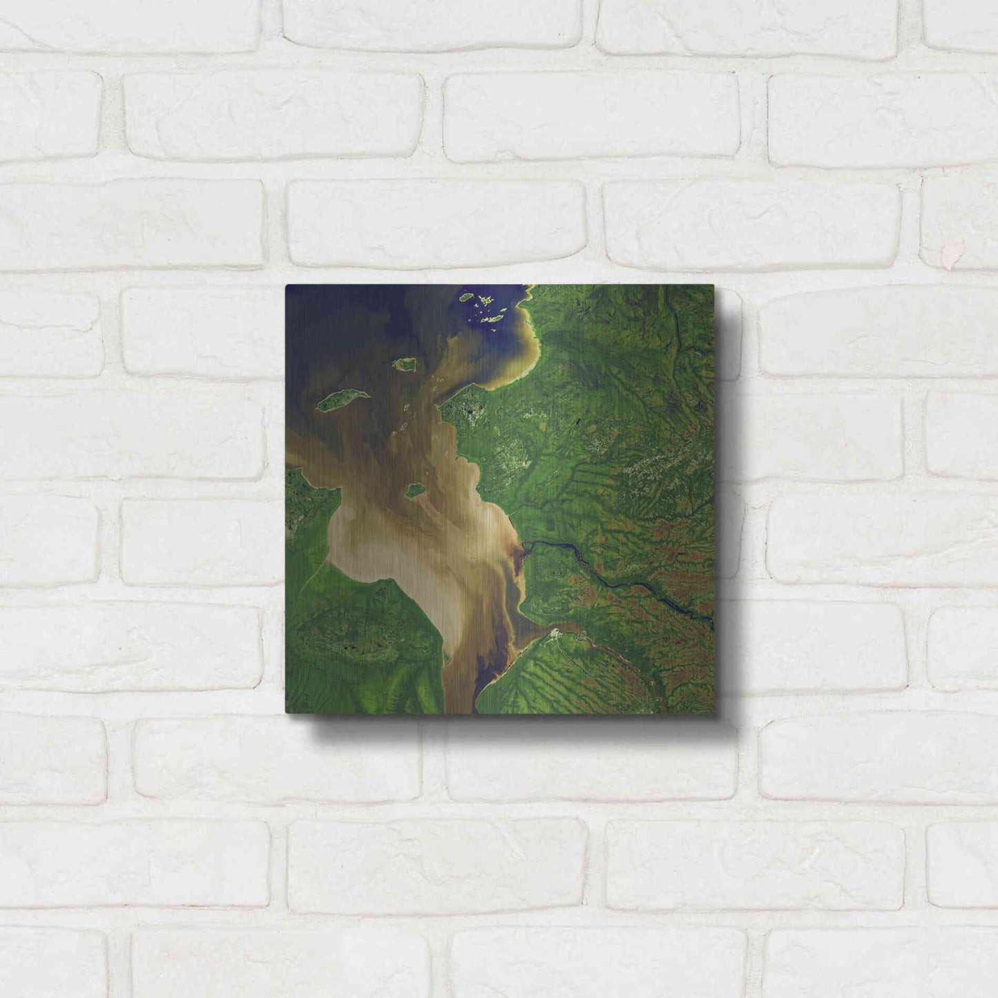 Luxe Metal Art 'Earth as Art: Facing the Tide,' Metal Wall Art,12x12