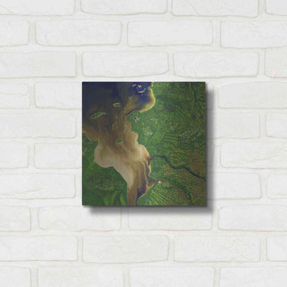 Luxe Metal Art 'Earth as Art: Facing the Tide,' Metal Wall Art,12x12