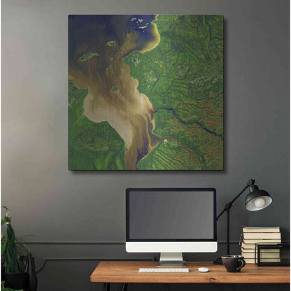 Luxe Metal Art 'Earth as Art: Facing the Tide,' Metal Wall Art,36x36