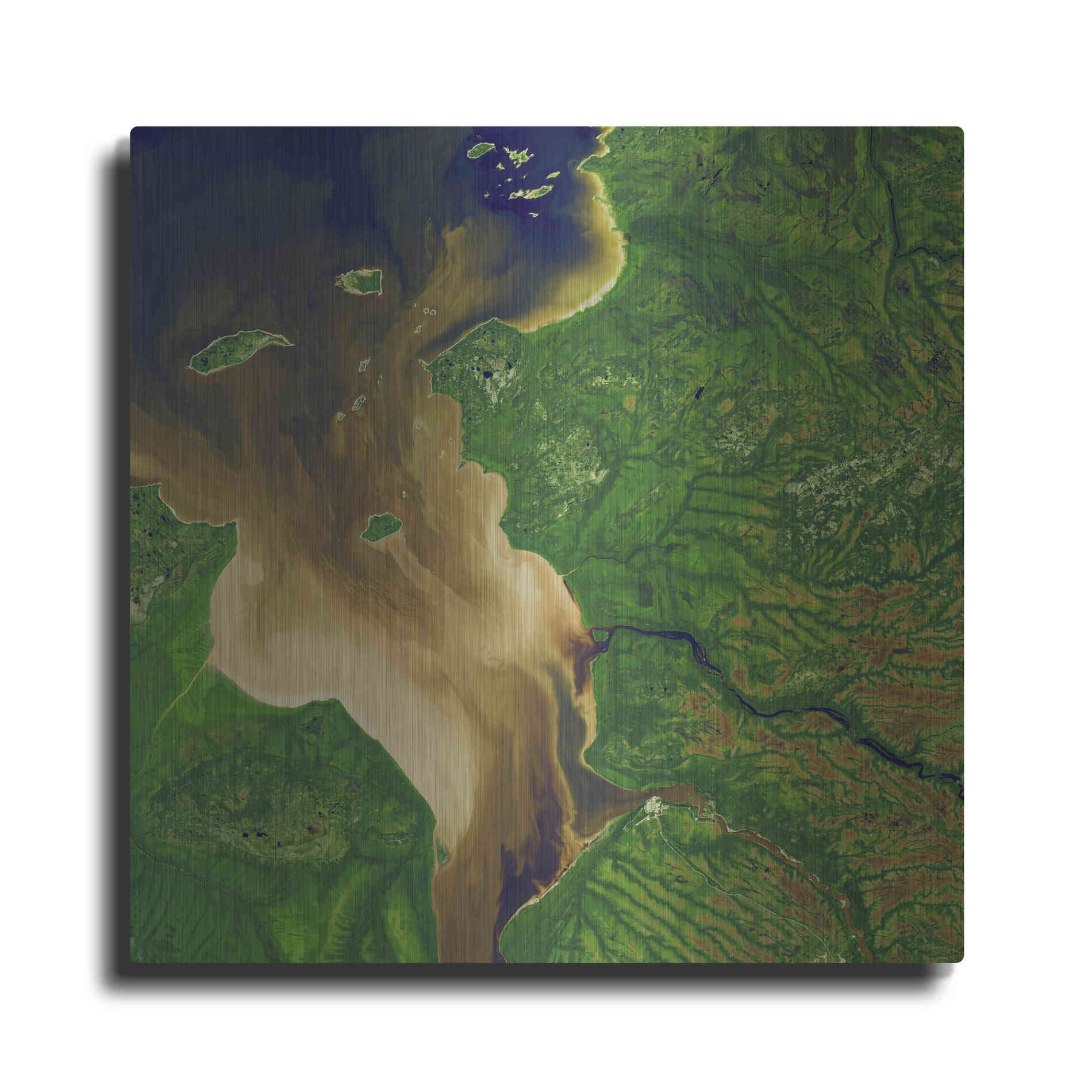 Luxe Metal Art 'Earth as Art: Facing the Tide,' Metal Wall Art