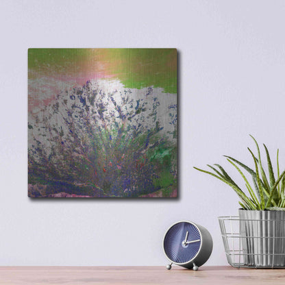 Luxe Metal Art 'Earth as Art: Fanned Out,' Metal Wall Art,12x12