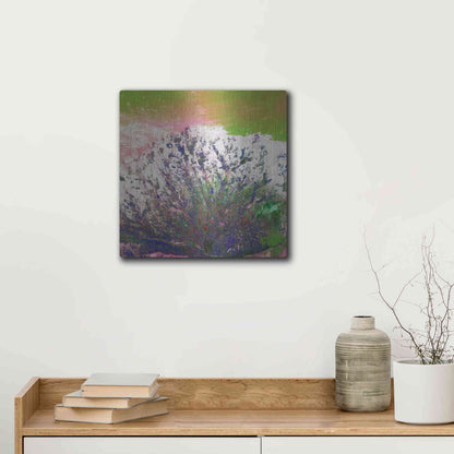 Luxe Metal Art 'Earth as Art: Fanned Out,' Metal Wall Art,12x12
