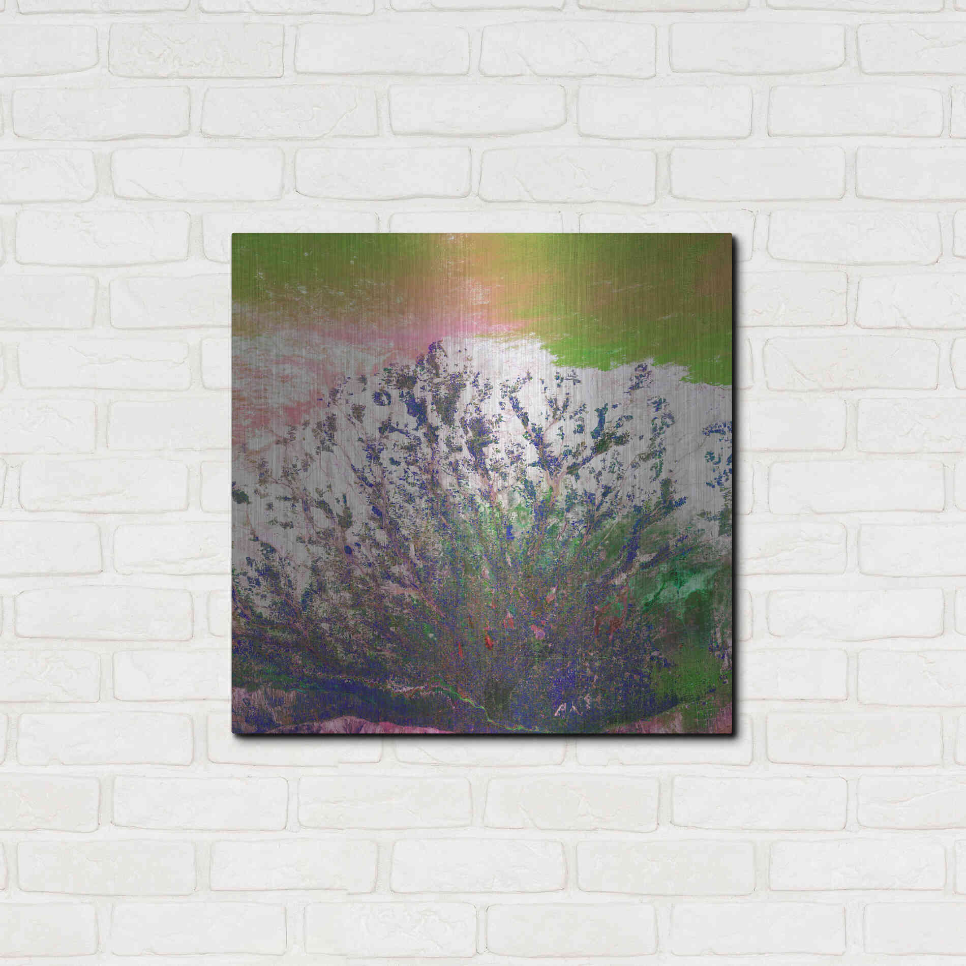 Luxe Metal Art 'Earth as Art: Fanned Out,' Metal Wall Art,24x24