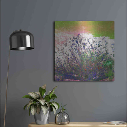 Luxe Metal Art 'Earth as Art: Fanned Out,' Metal Wall Art,24x24