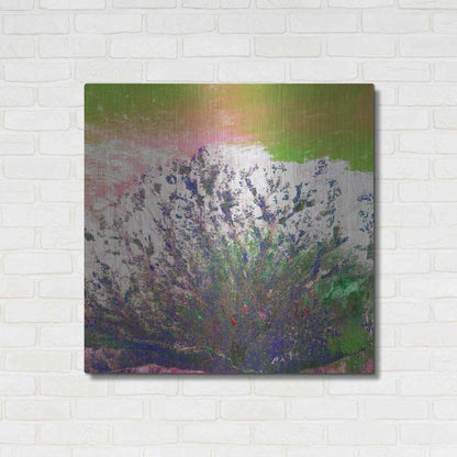 Luxe Metal Art 'Earth as Art: Fanned Out,' Metal Wall Art,36x36