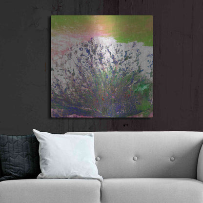 Luxe Metal Art 'Earth as Art: Fanned Out,' Metal Wall Art,36x36