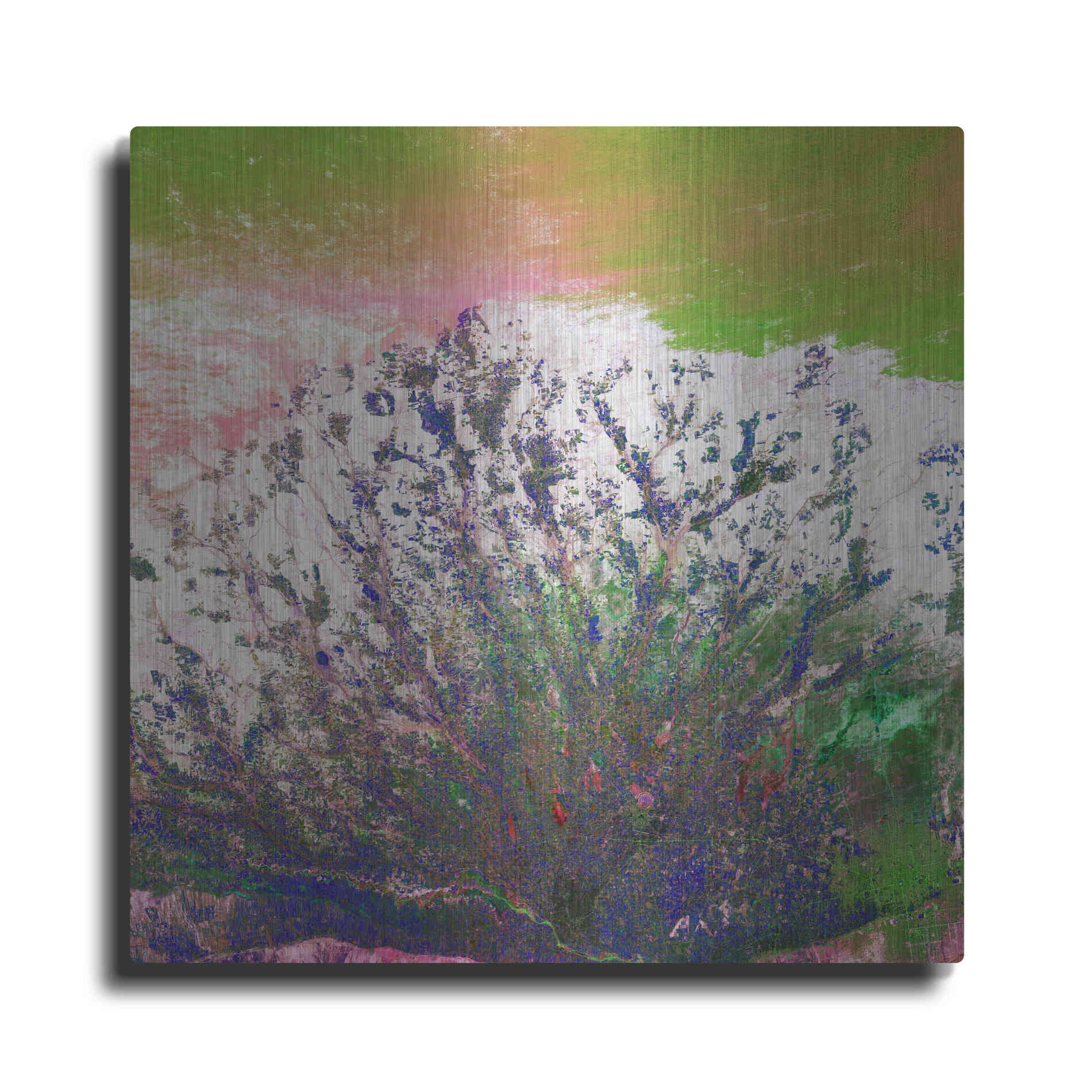 Luxe Metal Art 'Earth as Art: Fanned Out,' Metal Wall Art