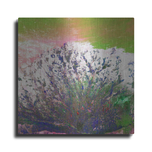 Luxe Metal Art 'Earth as Art: Fanned Out,' Metal Wall Art