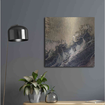 Luxe Metal Art 'Earth as Art: Irritated,' Metal Wall Art,24x24