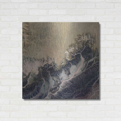 Luxe Metal Art 'Earth as Art: Irritated,' Metal Wall Art,36x36