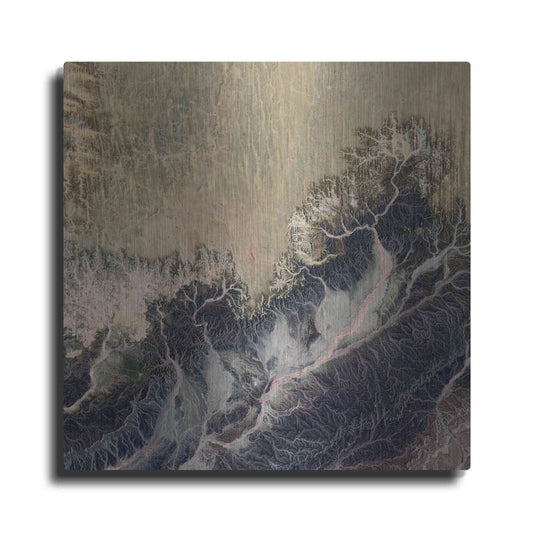 Luxe Metal Art 'Earth as Art: Irritated,' Metal Wall Art