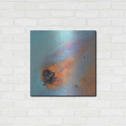 Luxe Metal Art 'Earth as Art: Re-Entry,' Metal Wall Art,24x24