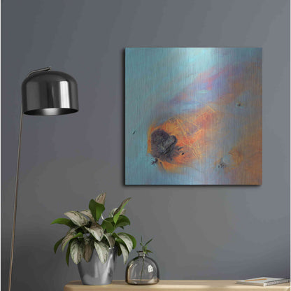 Luxe Metal Art 'Earth as Art: Re-Entry,' Metal Wall Art,24x24