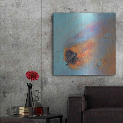 Luxe Metal Art 'Earth as Art: Re-Entry,' Metal Wall Art,36x36