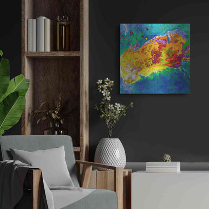 Luxe Metal Art 'Earth as Art: Salty Desolation,' Metal Wall Art,24x24