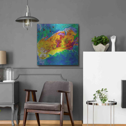 Luxe Metal Art 'Earth as Art: Salty Desolation,' Metal Wall Art,24x24