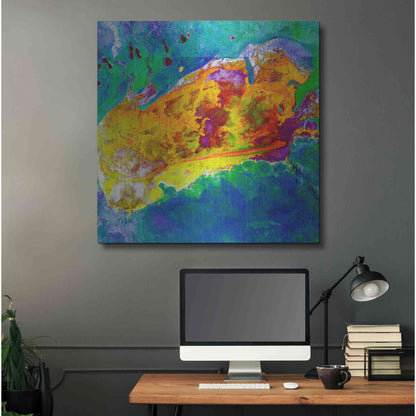 Luxe Metal Art 'Earth as Art: Salty Desolation,' Metal Wall Art,36x36