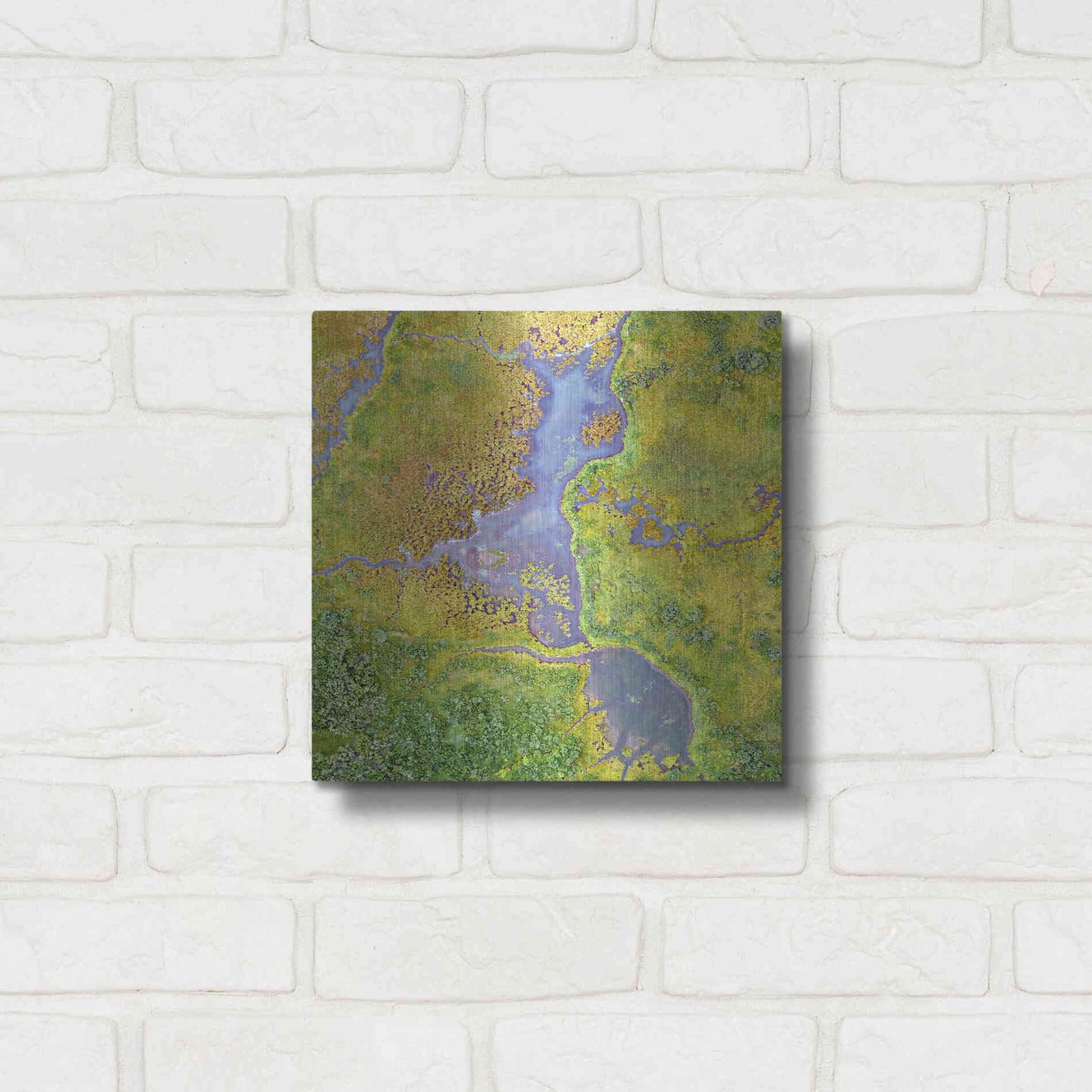 Luxe Metal Art 'Earth as Art: Watching Wetlands,' Metal Wall Art,12x12
