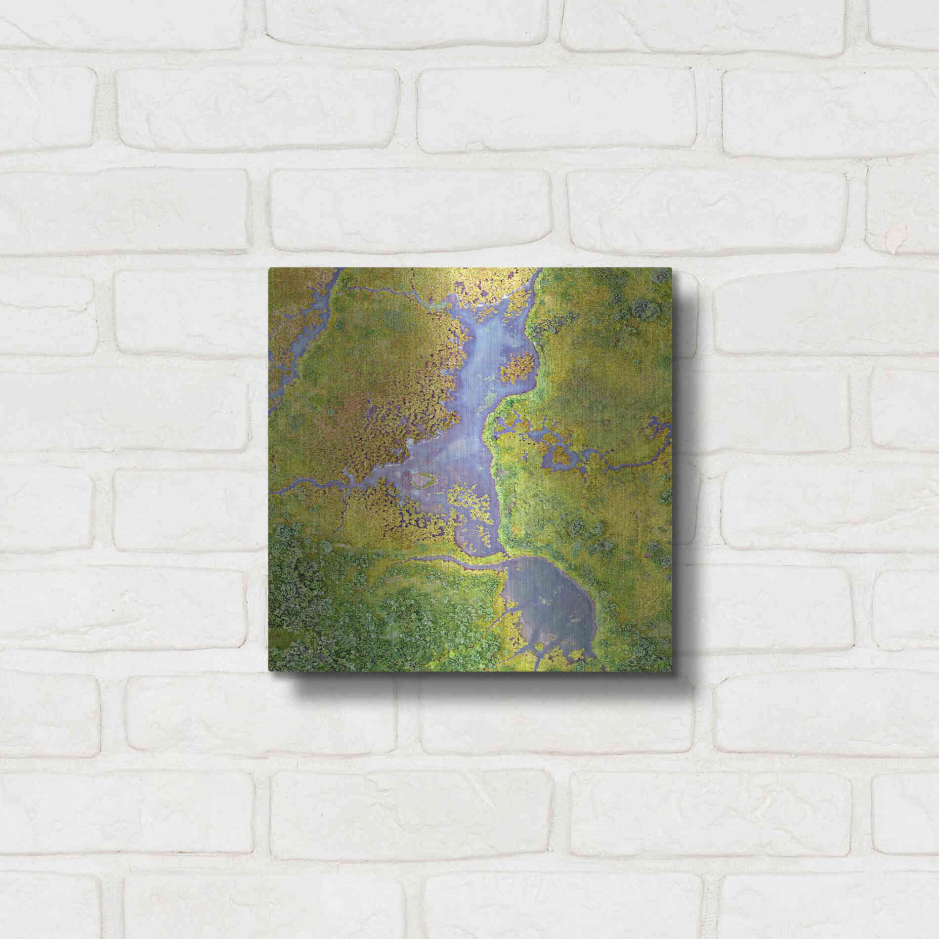 Luxe Metal Art 'Earth as Art: Watching Wetlands,' Metal Wall Art,12x12