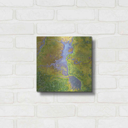 Luxe Metal Art 'Earth as Art: Watching Wetlands,' Metal Wall Art,12x12