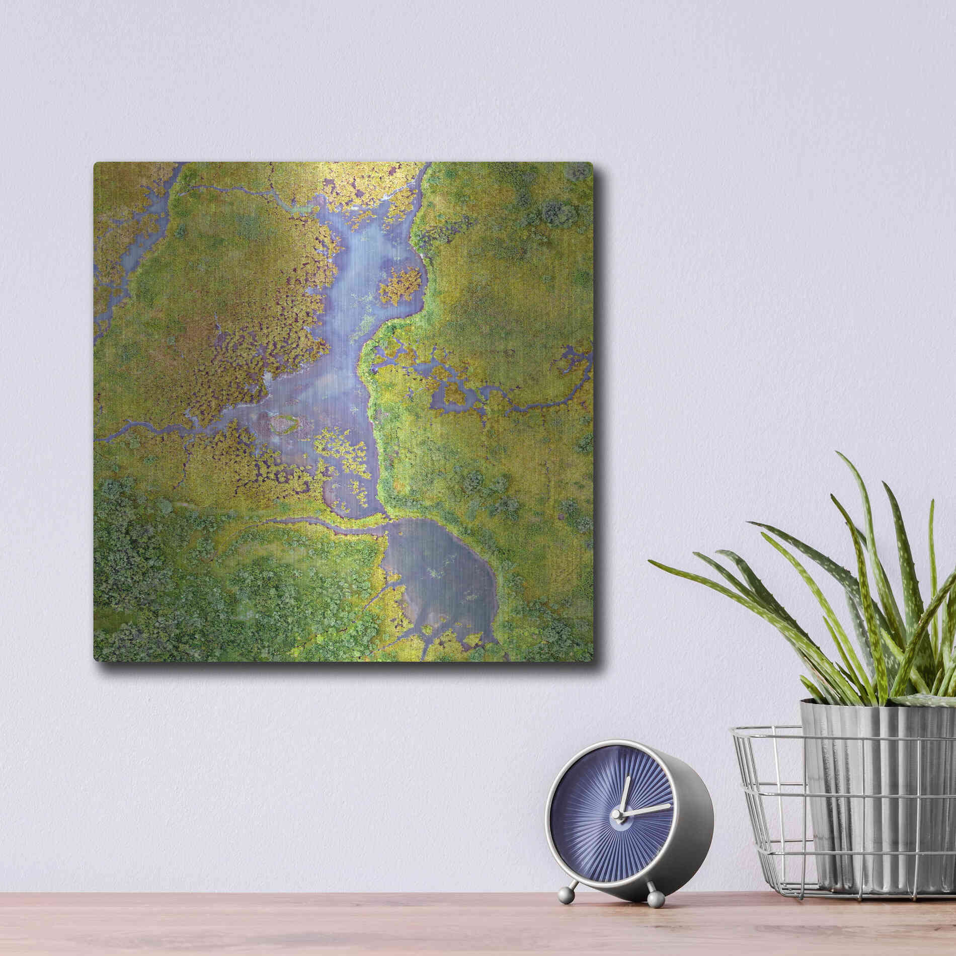 Luxe Metal Art 'Earth as Art: Watching Wetlands,' Metal Wall Art,12x12