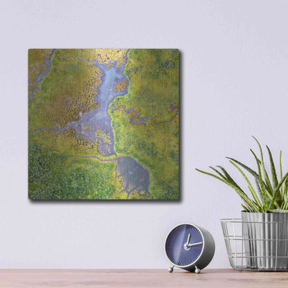 Luxe Metal Art 'Earth as Art: Watching Wetlands,' Metal Wall Art,12x12