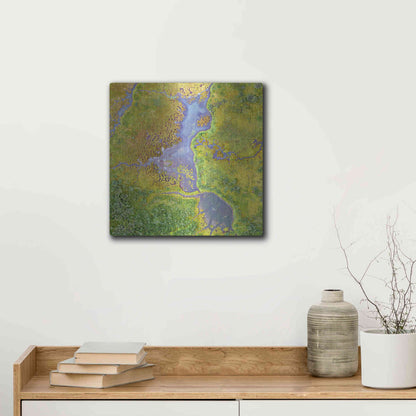 Luxe Metal Art 'Earth as Art: Watching Wetlands,' Metal Wall Art,12x12