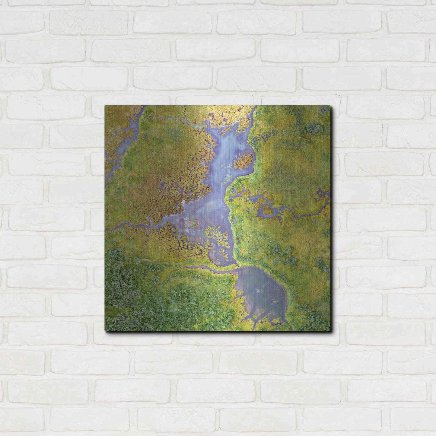 Luxe Metal Art 'Earth as Art: Watching Wetlands,' Metal Wall Art,24x24