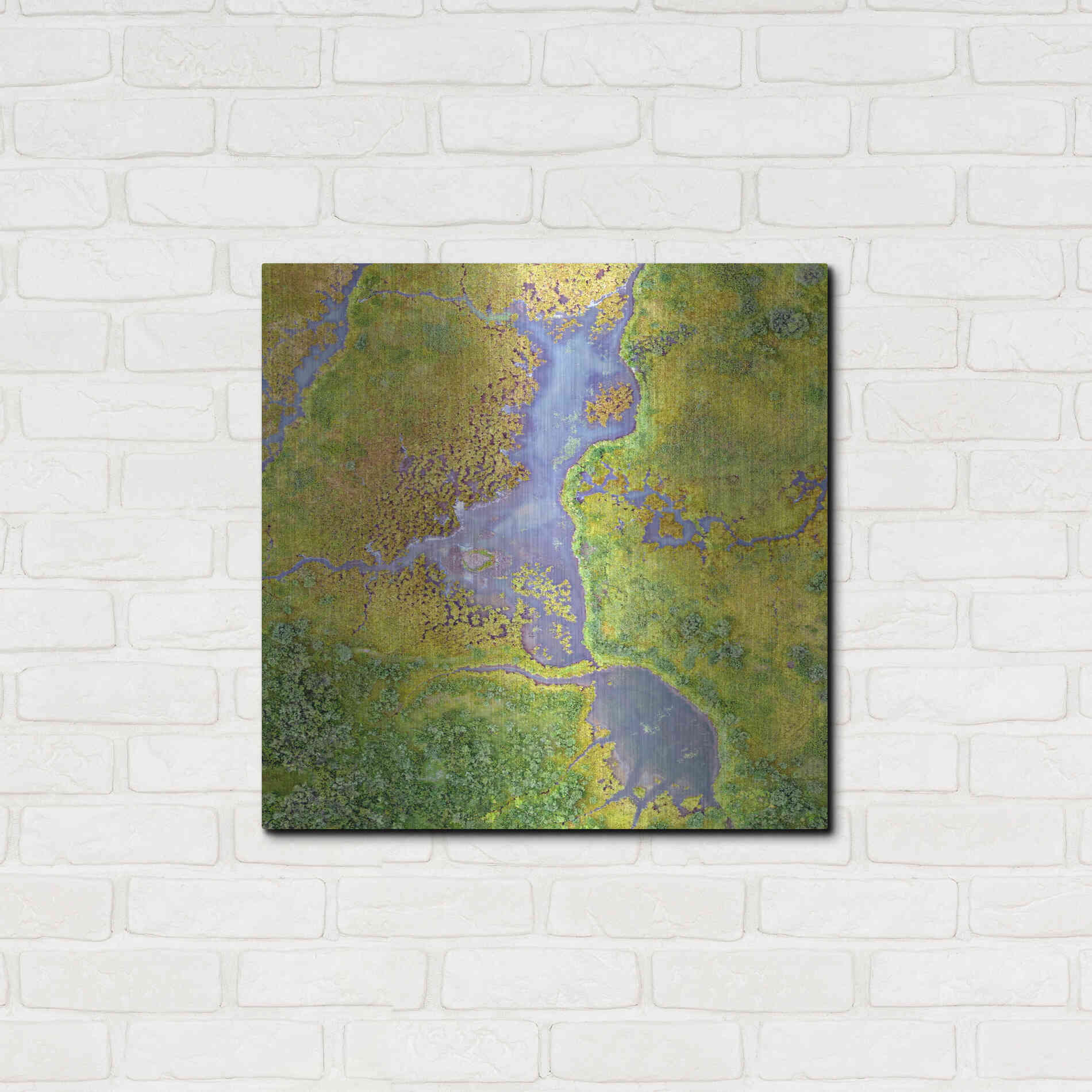 Luxe Metal Art 'Earth as Art: Watching Wetlands,' Metal Wall Art,24x24