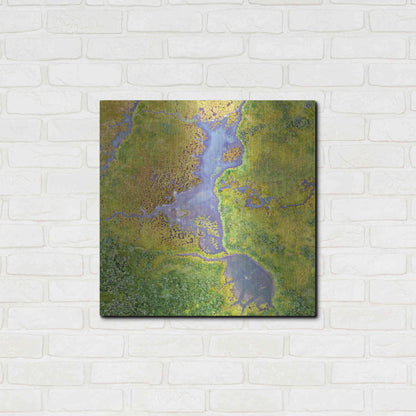 Luxe Metal Art 'Earth as Art: Watching Wetlands,' Metal Wall Art,24x24