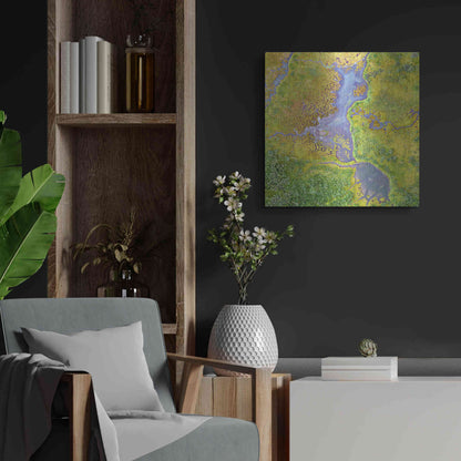 Luxe Metal Art 'Earth as Art: Watching Wetlands,' Metal Wall Art,24x24