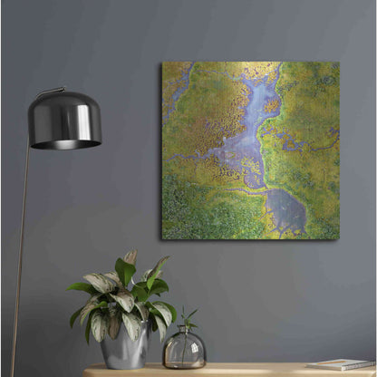 Luxe Metal Art 'Earth as Art: Watching Wetlands,' Metal Wall Art,24x24