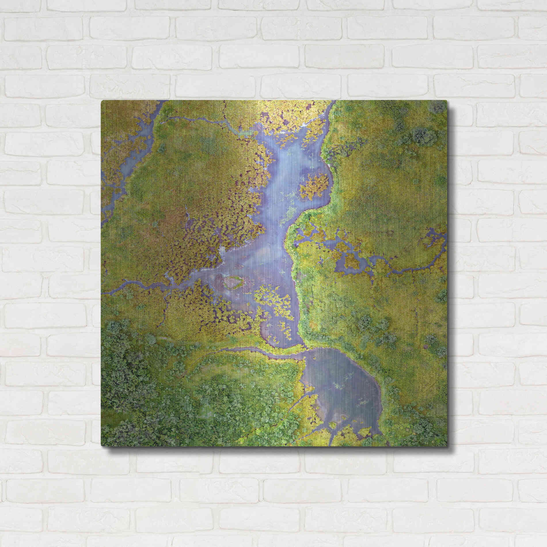 Luxe Metal Art 'Earth as Art: Watching Wetlands,' Metal Wall Art,36x36