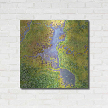Luxe Metal Art 'Earth as Art: Watching Wetlands,' Metal Wall Art,36x36