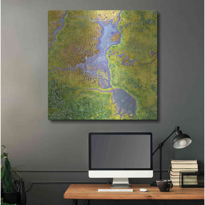 Luxe Metal Art 'Earth as Art: Watching Wetlands,' Metal Wall Art,36x36