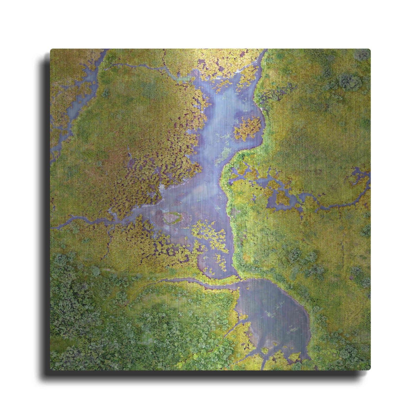 Luxe Metal Art 'Earth as Art: Watching Wetlands,' Metal Wall Art
